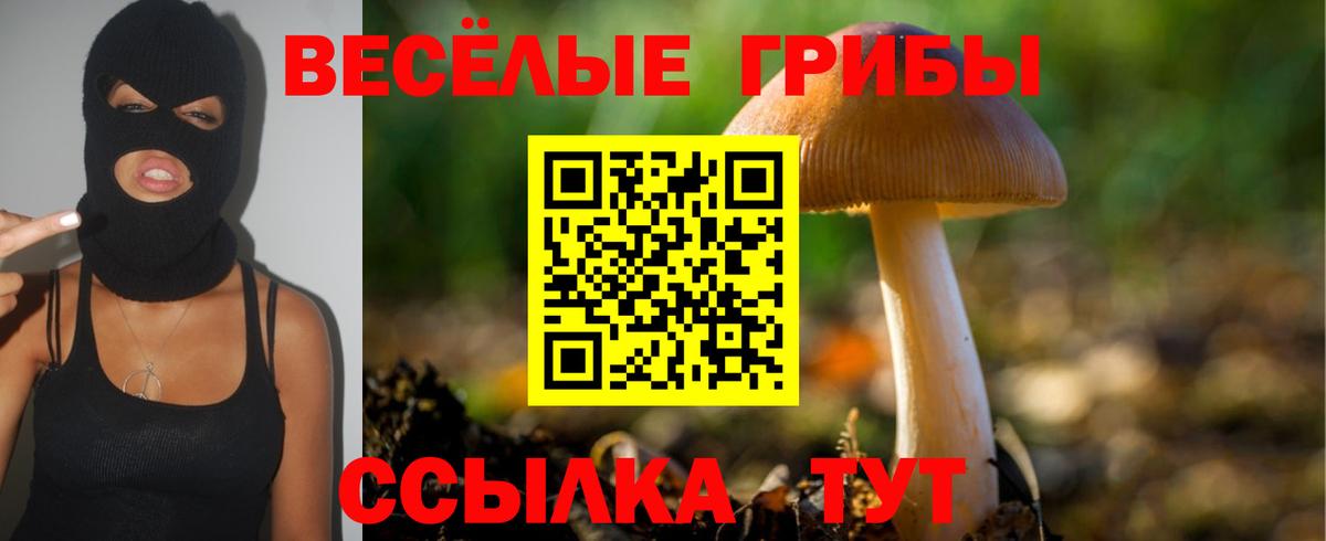 Псилоцибиновые грибы Psilocybine cubensis  где купить наркотик  Кизляр  Псилоцибиновые грибы Cubensis  Вход с VPN 